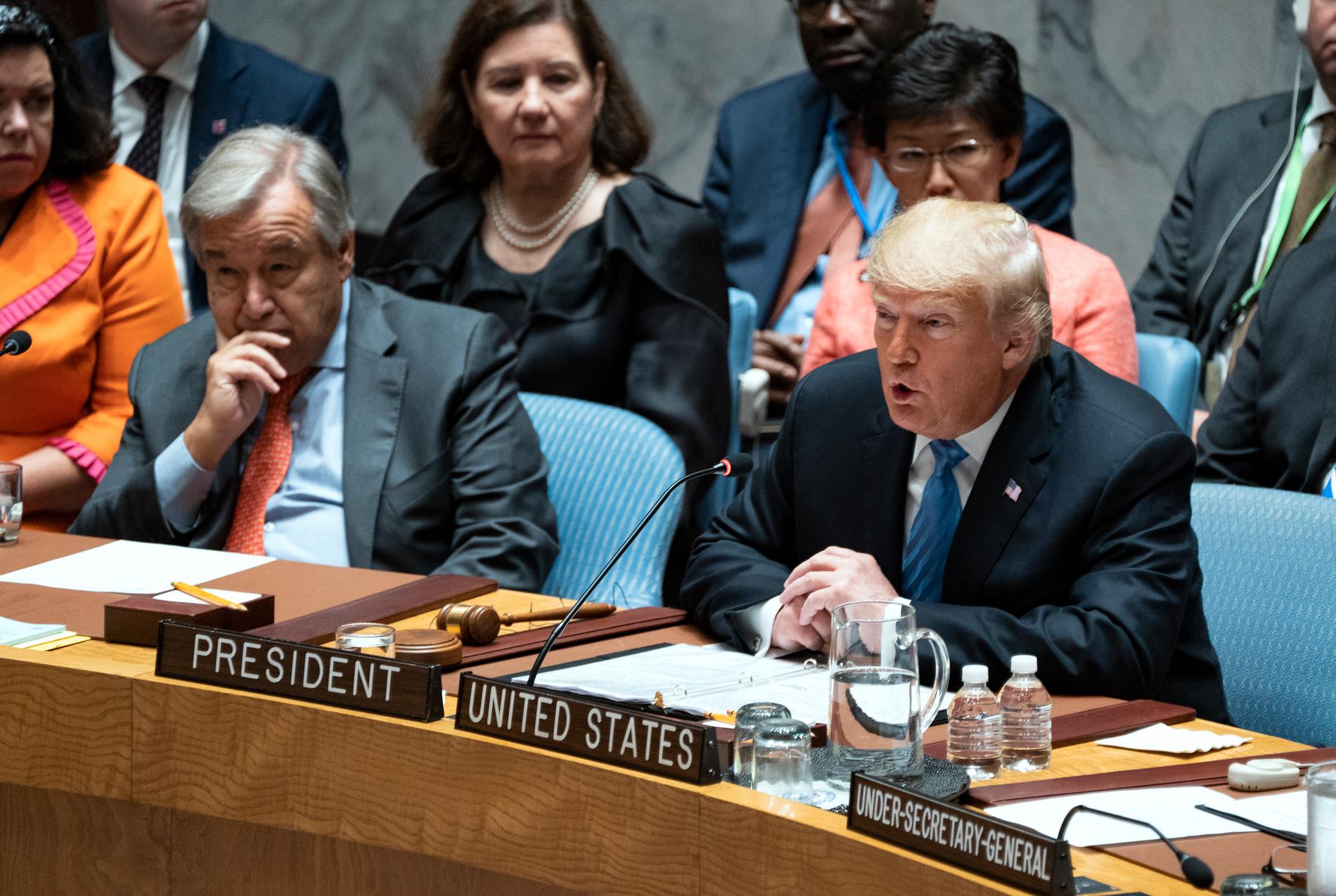 USA:s president Donald Trump sitter ordförande i FN:s säkerhetsråds sammanträde.