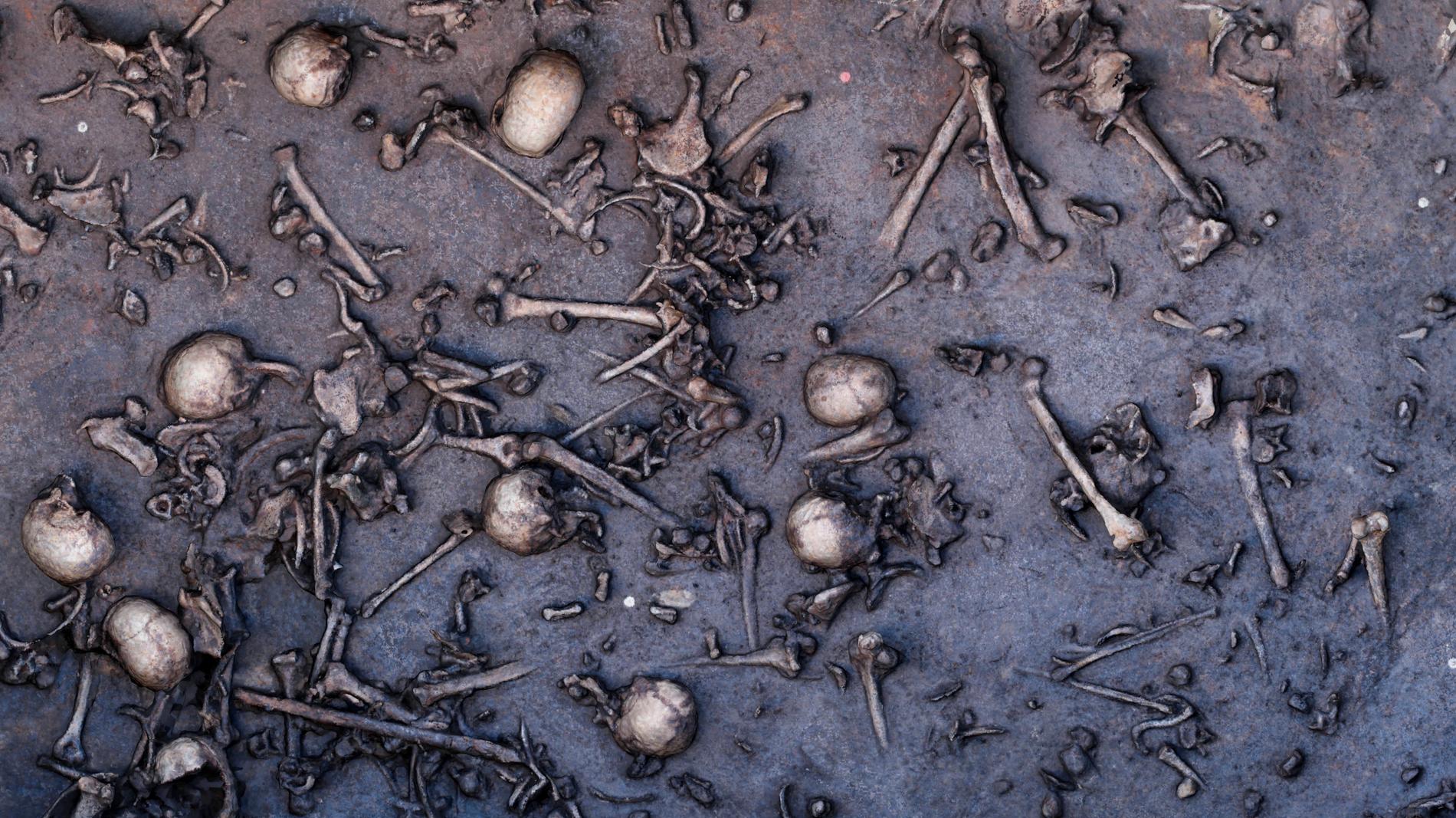 Slaget var mycket blodigt. På sina håll låg de döda tätt intill varandra. På ett tolv kvadratmeter stort område hittade arkeologerna 1 478 ben inklusive 20 kranier. Antagligen var flera tusen krigare involverade i bataljen.