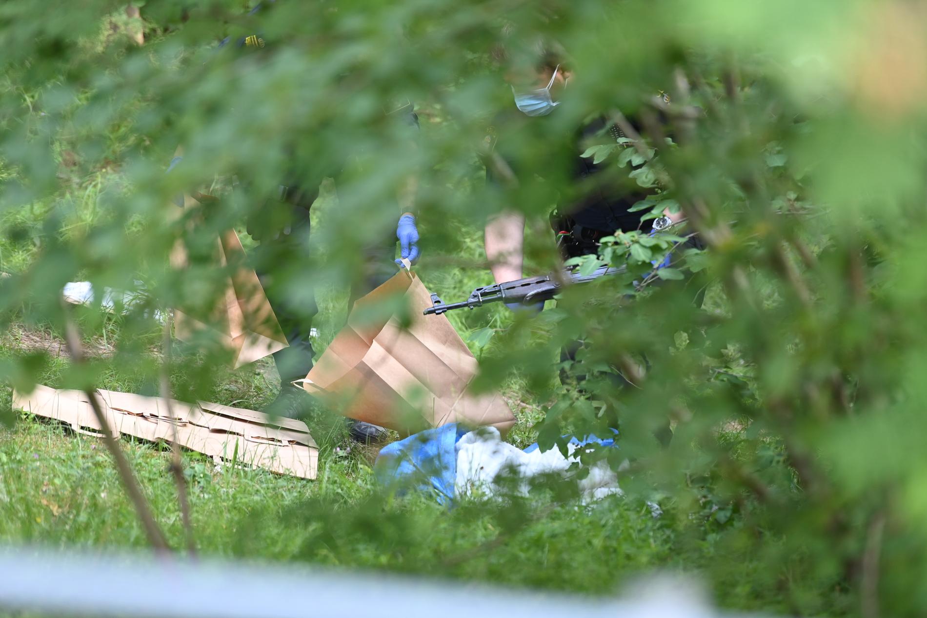 Ett automatvapen hittades i ett skogsparti i Solna. 