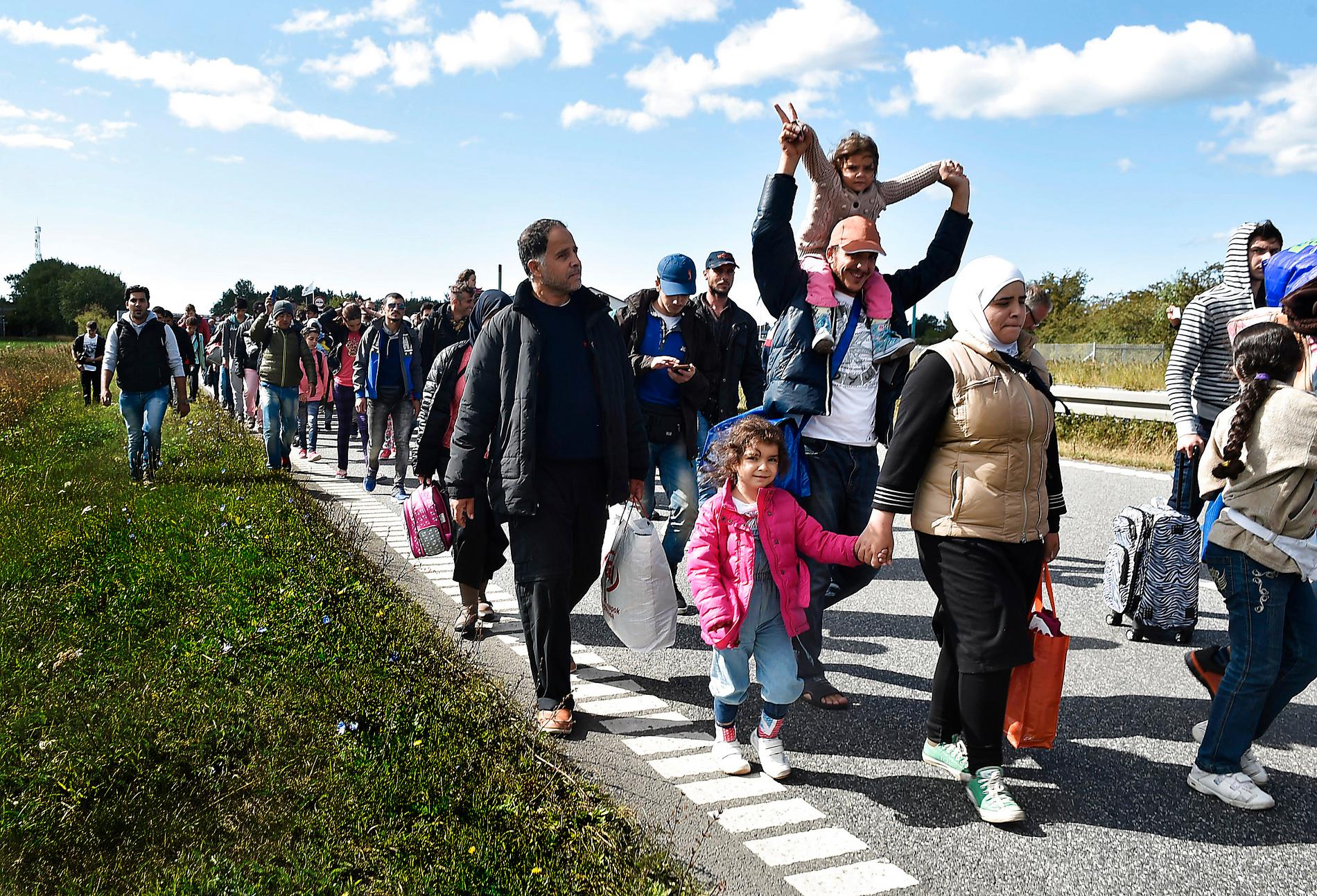 Tåg med flyktingar och migranter på väg genom Danmark i riktning mot Sverige i september 2015.