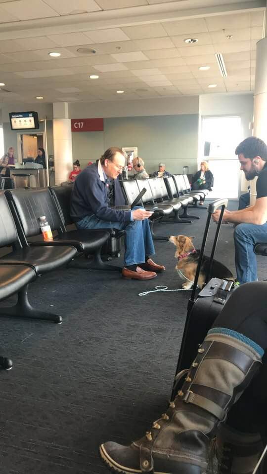 Hunden Cora satte sig vid den sörjande mannen på flygplatsen. 