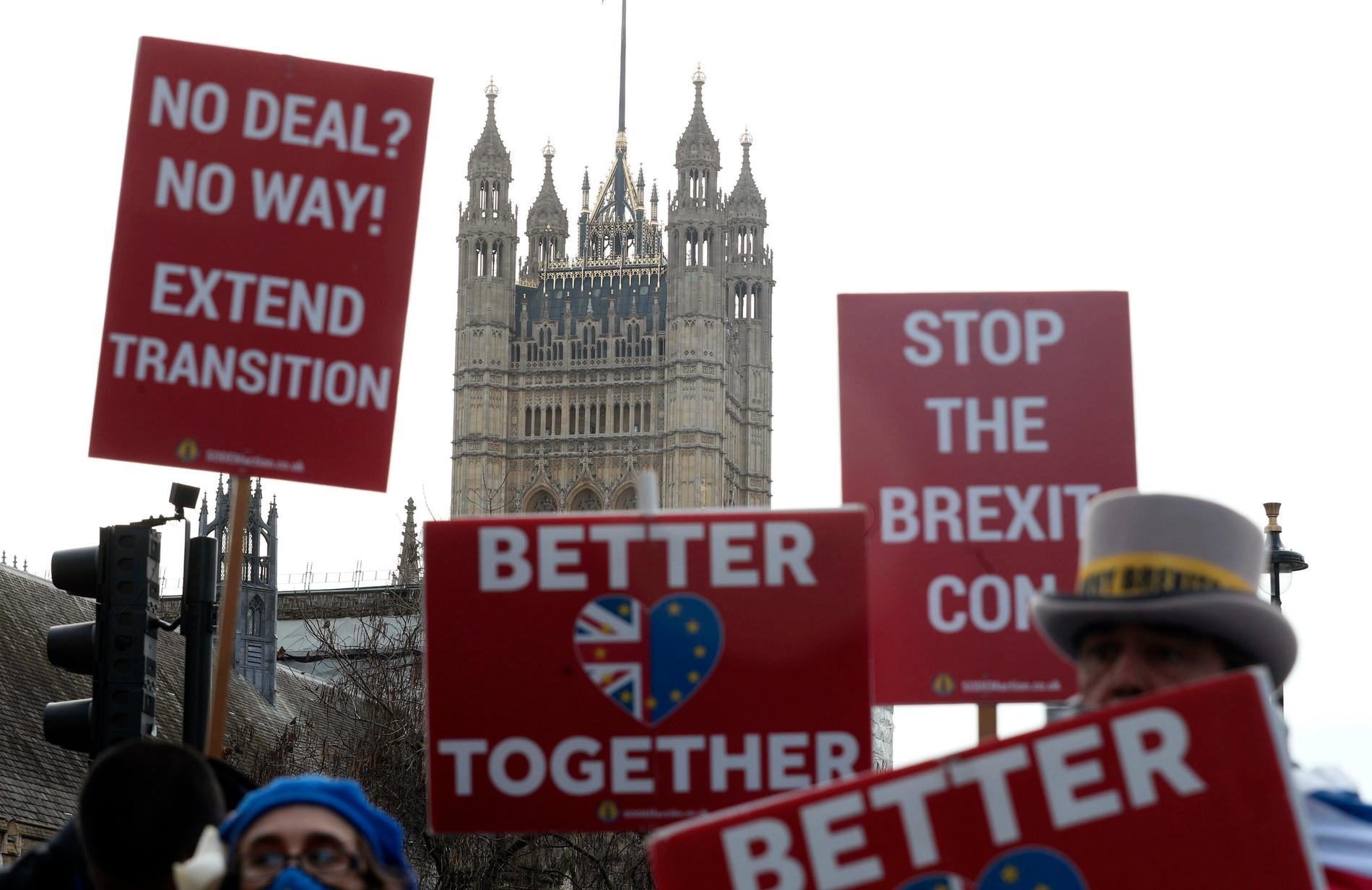 Demonstranter protesterar mot Brexit i London i december.