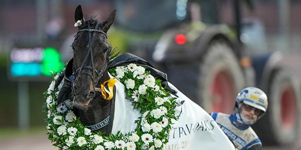 Magnus Djuse och Adriativa vann Svenskt Trav-Oaks. En häst som Peter spikade. 