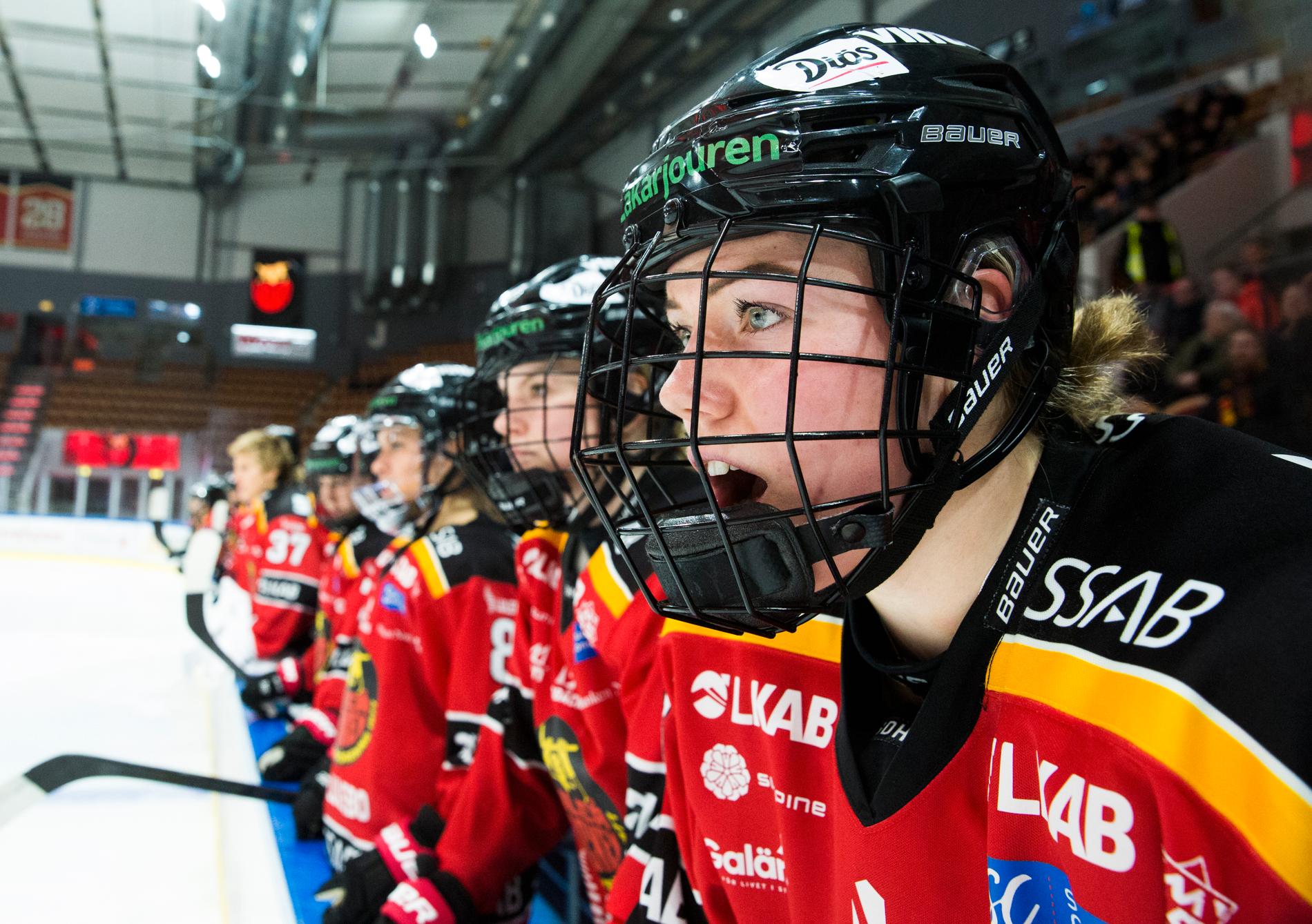 ”Den nya spelplanen” är svenska damhockeyligans nya plattform som ska öka intäkterna till svensk damhockey.