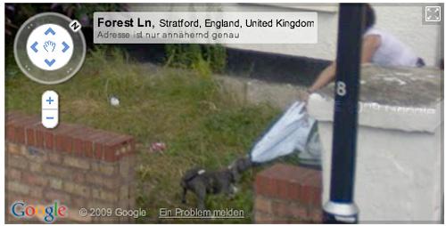 Kvinna vs. hund. Dragkamp fångad på bild av Googlekameran.