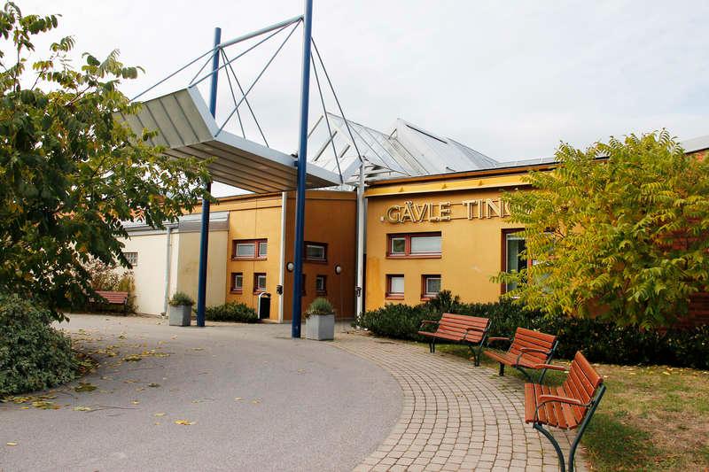Filmades Häktningsförhandlingen hölls på Säters rättspsykiatriska sjukhus i Dalarna och visades på en skärm i Gävle tingsrätt. Mannen ansågs för sjuk för att transporteras.