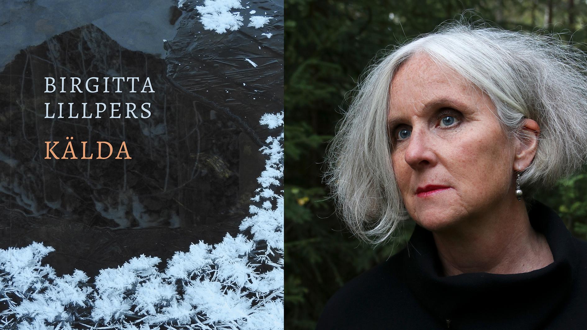 Birgitta Lillpers är bosatt i Orsa på en släktgård med får och har sedan debuten 1982 givit ut ett 20-tal titlar: poesi, prosa och kultur­historia.