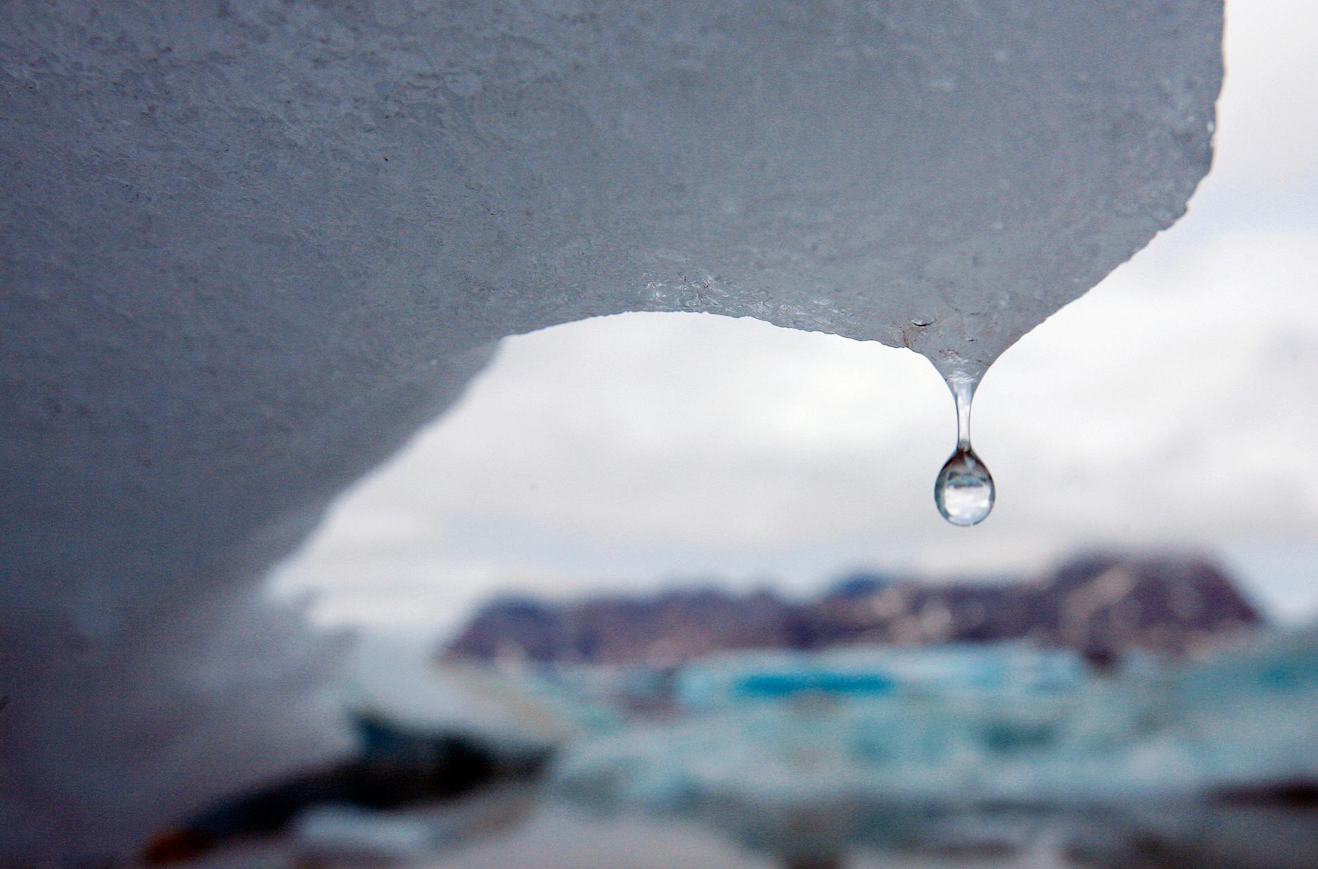 Den grönländska isen kommer att fortsätta att smälta under lång tid, även om utsläppen av växthusgaser upphör helt redan i dag. Arkivbild.