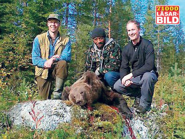 Yared Hagos, tillsammans med Stefan Thomson och Mattias Hallberg, var ute och jagade i går morse. Resultatet blev en fälld 150-kilos björnhanne.