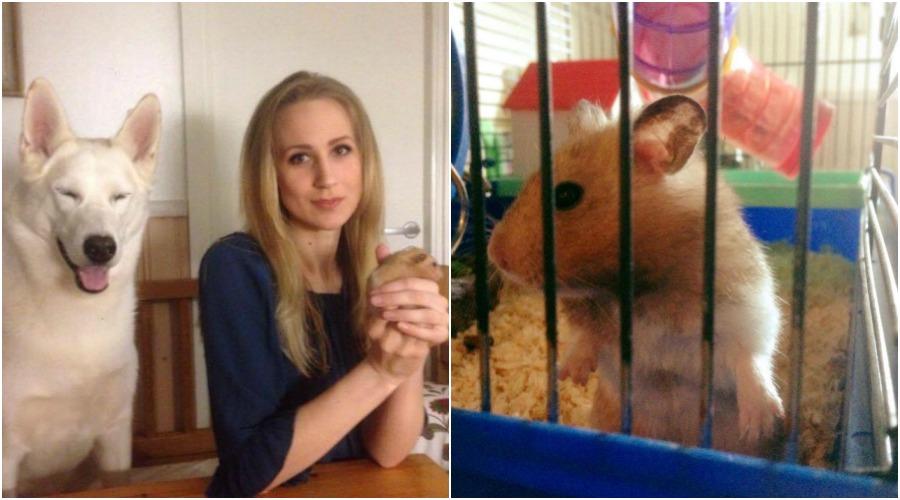 Mikaela hittade en hamster i en påse i skogen. Nu bor han hemma hos henne och heter Lyckliga Pelle.