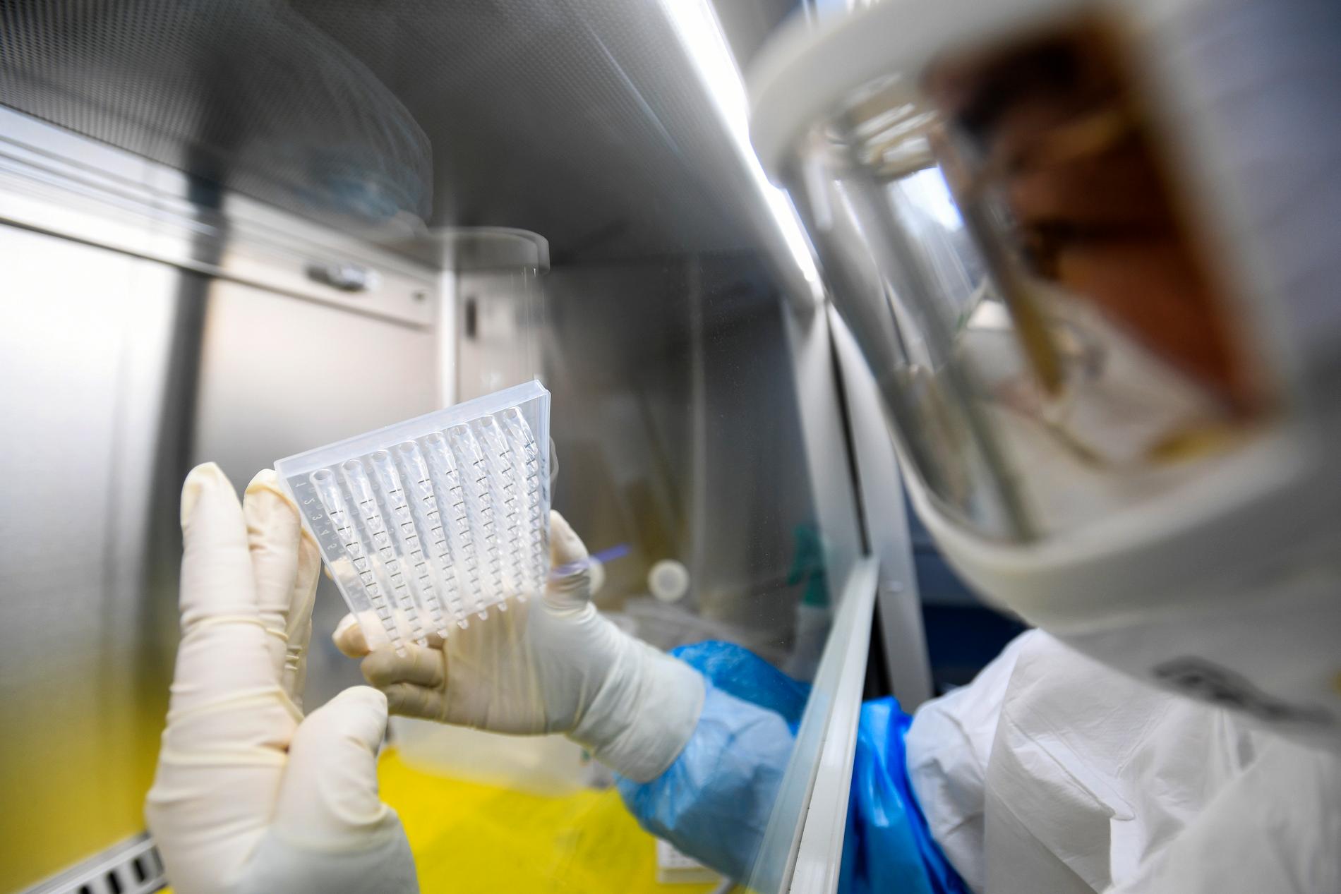 En anställd gör tester på coronaviruset vid ett laboratorium i Huoyan i Wuhan.