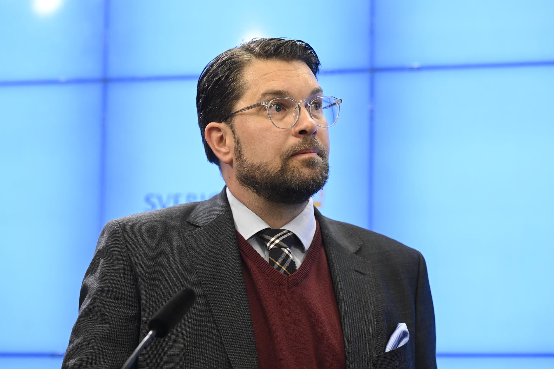 SD-ledaren Jimmie Åkesson vill kunna låsa in kriminella utan brottsmisstanke under en kortare tid. Arkivbild