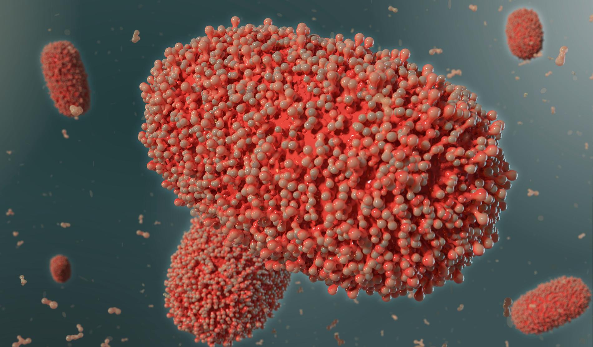 En 3d-illustration av apkoppeviruset.