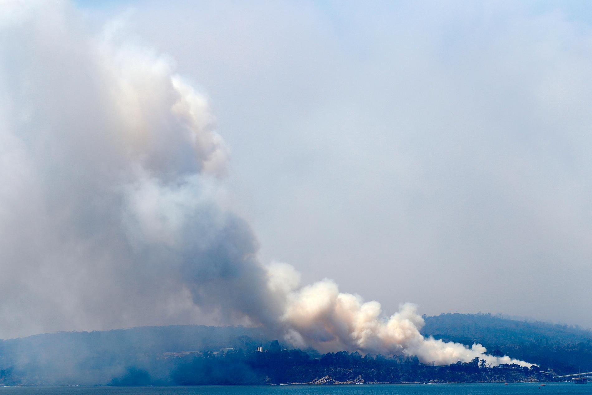 Brandröken stiger från en skogsbrand utanför Eden i New South Wales.