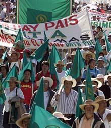 Tiotusentals människor i Mexico City protesterade i januari mot de höjda brödpriserna.
