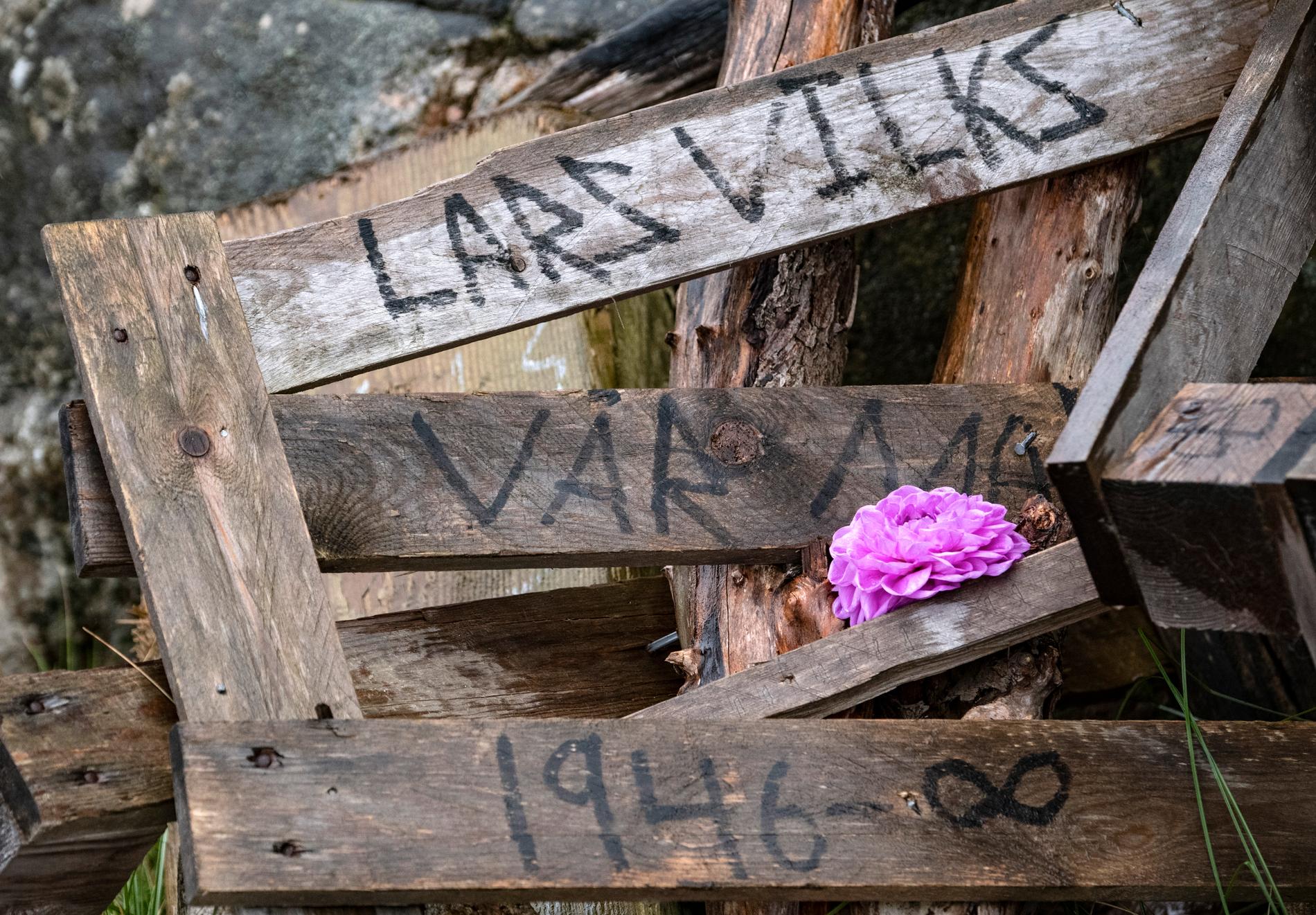 En blomma placerad vid Lars Vilks konstverk Nimis i Kullabergs naturreservat.