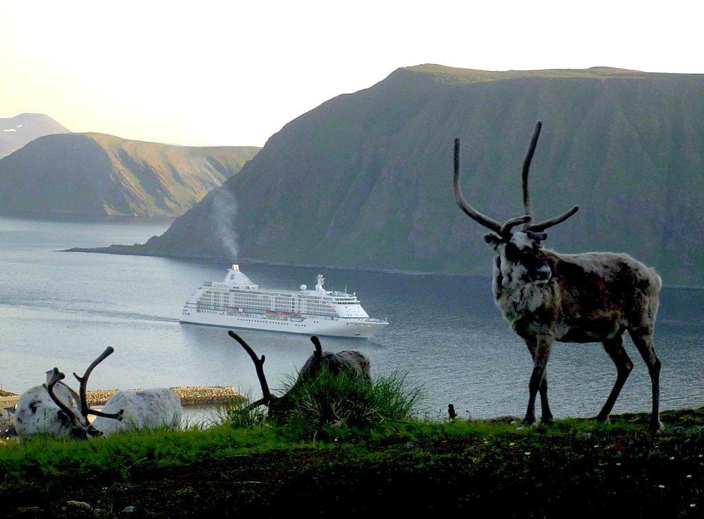 3. Norska fjordarna - vackert så att ögonen tåras