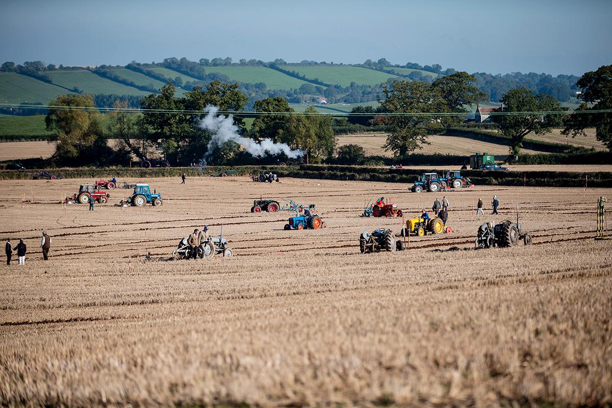Pensford, Storbritannien: För 146:e året i rad går Mendip Ploughing Society's tävling av stapeln. En stor del av de tävlande plogar fältet med vintagetraktorer, men en och annan tävlar också helt utan bensindrivna fordon, samt med hästar.