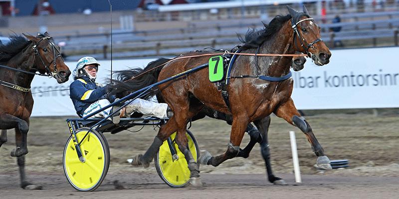 Trots att mannen inte hade med vinnaren Rotate på fyra hästar i V75–5 så lyckades han genom rätt Boostnummer vinna mest i Sverige på V75. 