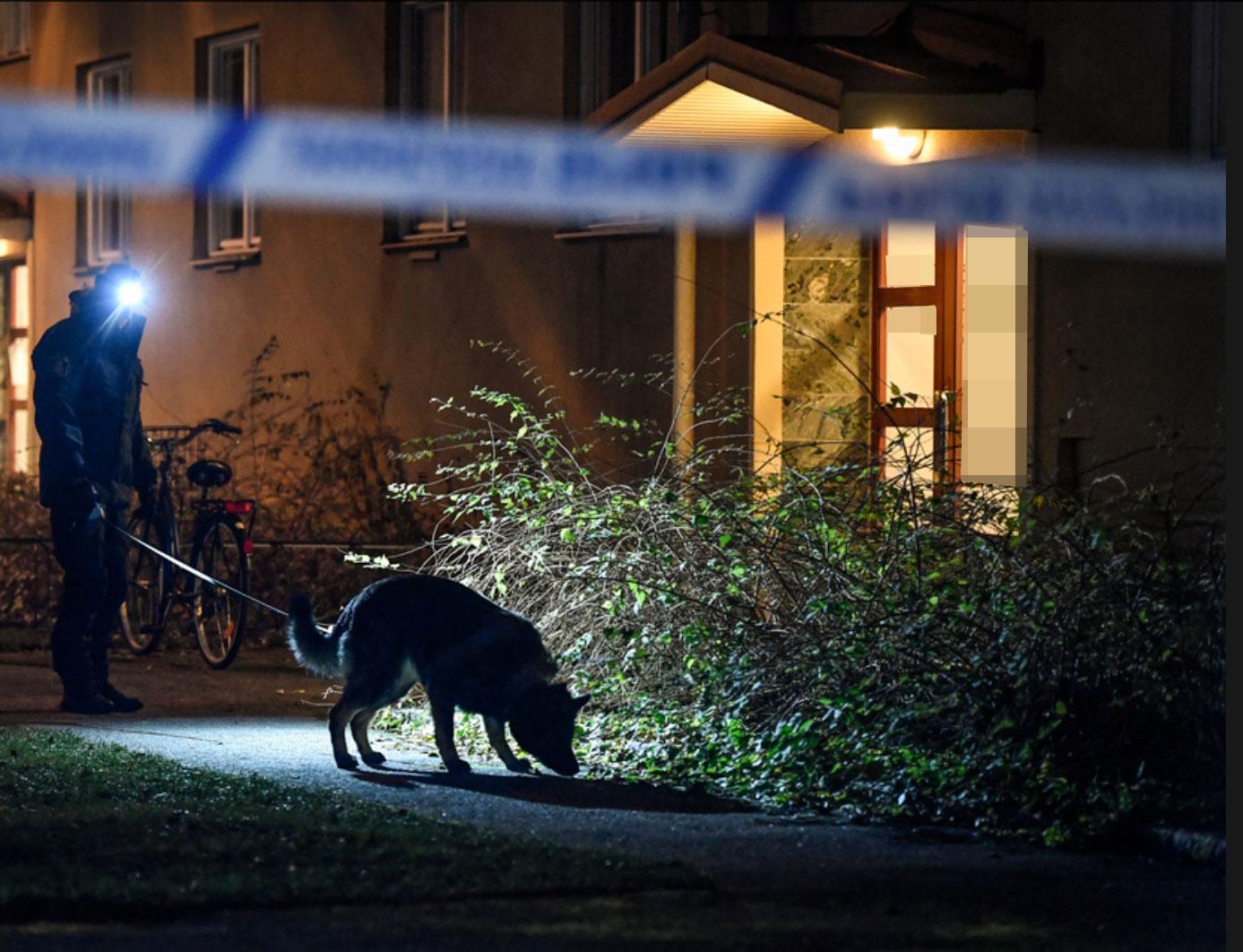 Polis med hund söker i Fröslunda i Eskilstuna efter skottlossningen.
