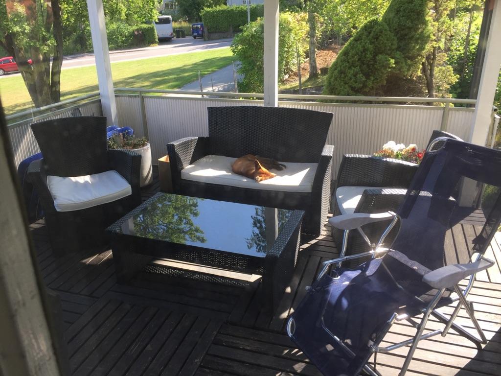 Här ligger räven ihoprullad i solen och sover på Anttis veranda: ”Han är jättefin”.