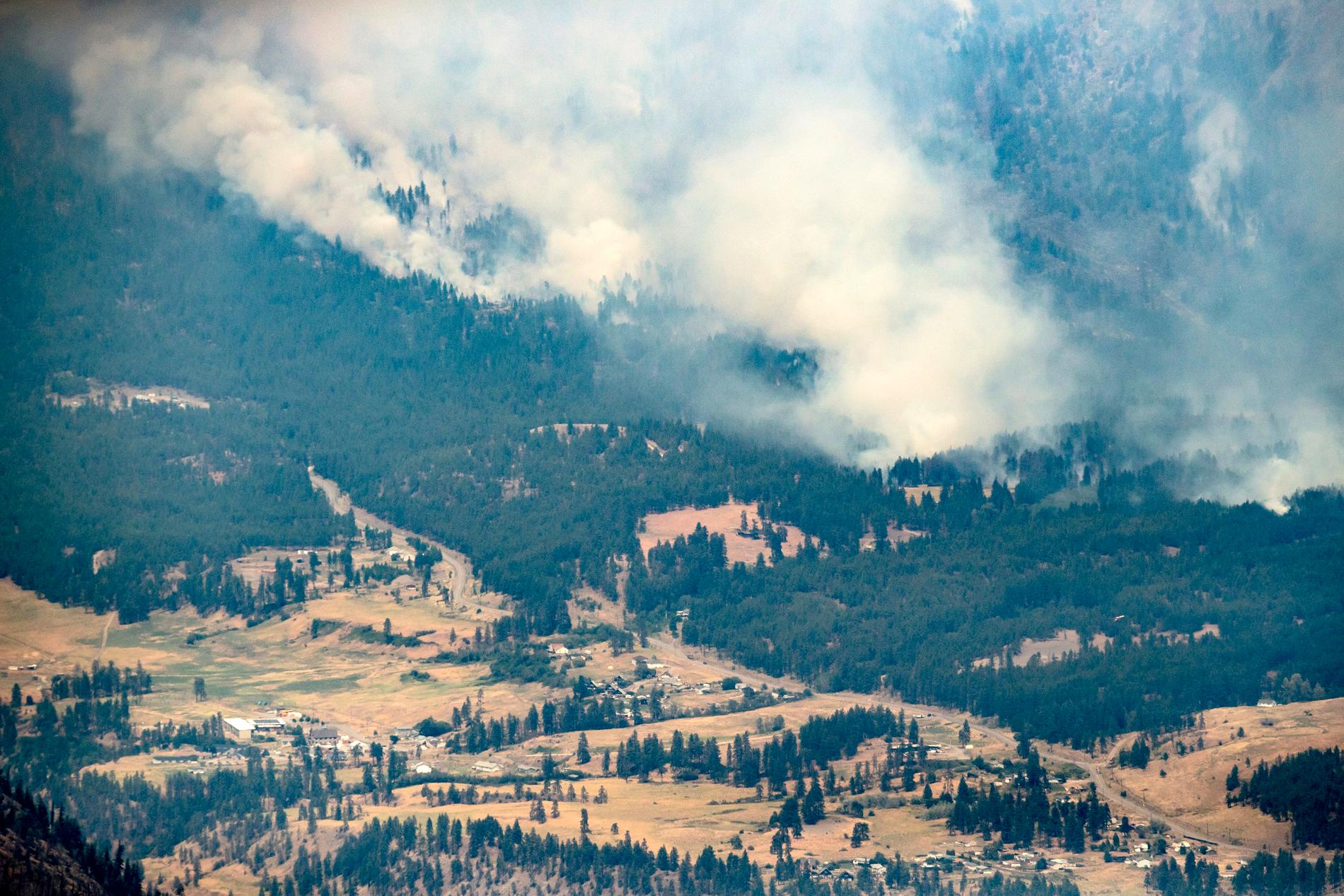 Skogsbrand i Lyttle, British Columbia. 