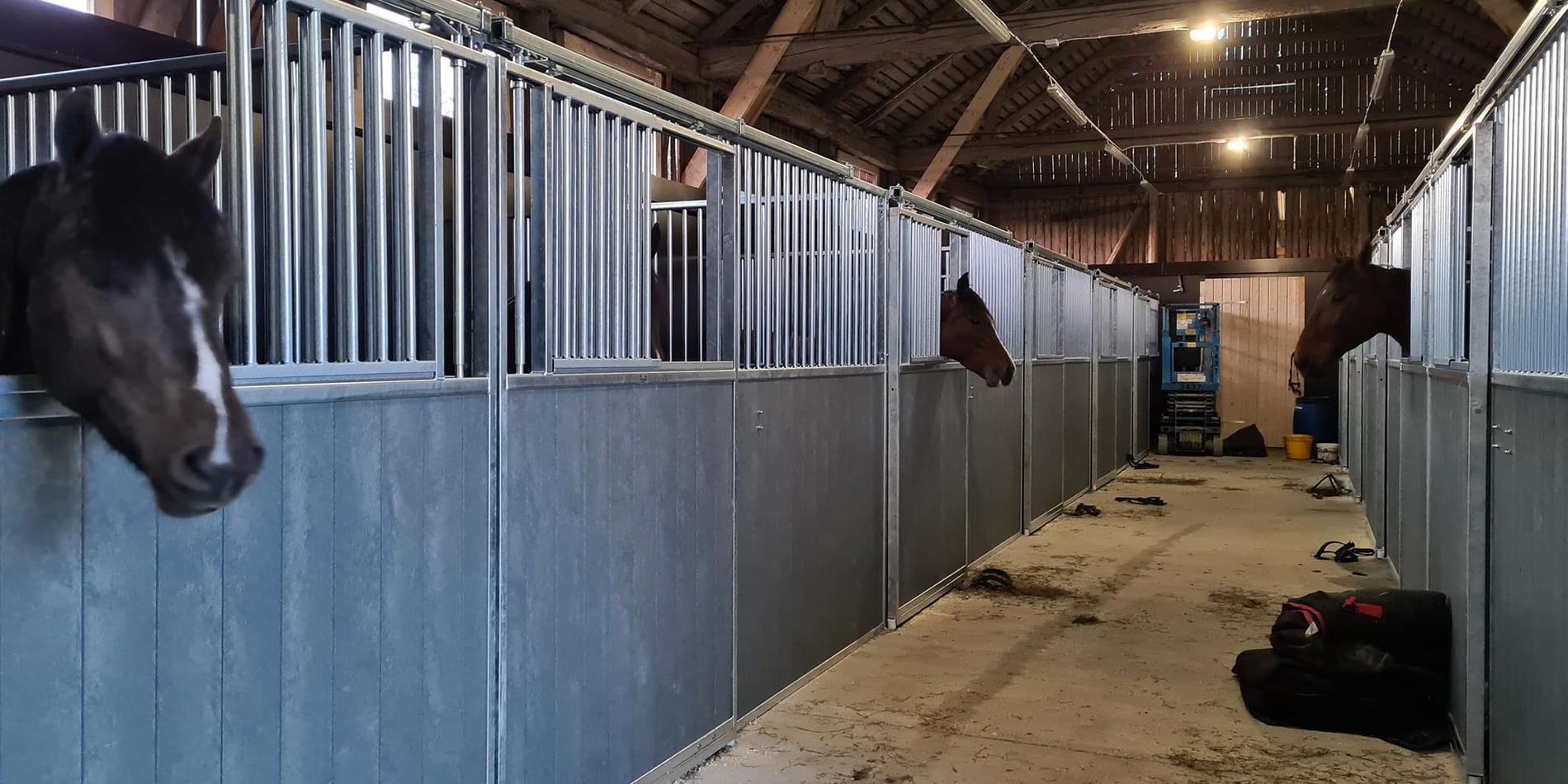 Hästarna är på plats på nya gården Gundbo i Östervåla. 