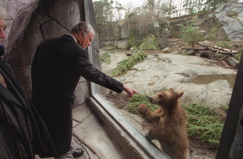 En kung möter en björn på Skansen 1998.
