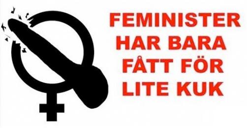 Bilden är hämtad från Johan Airaksinens Facebookuppdatering. Airaksinens sitter i Habos kommunfullmäktige för SD och har bland annat föreslagit att feminister ska tvångssteriliseras.