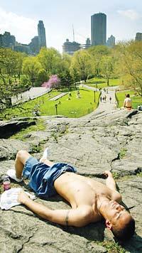 I Central Park kan man koppla av från det höga tempot i New York.