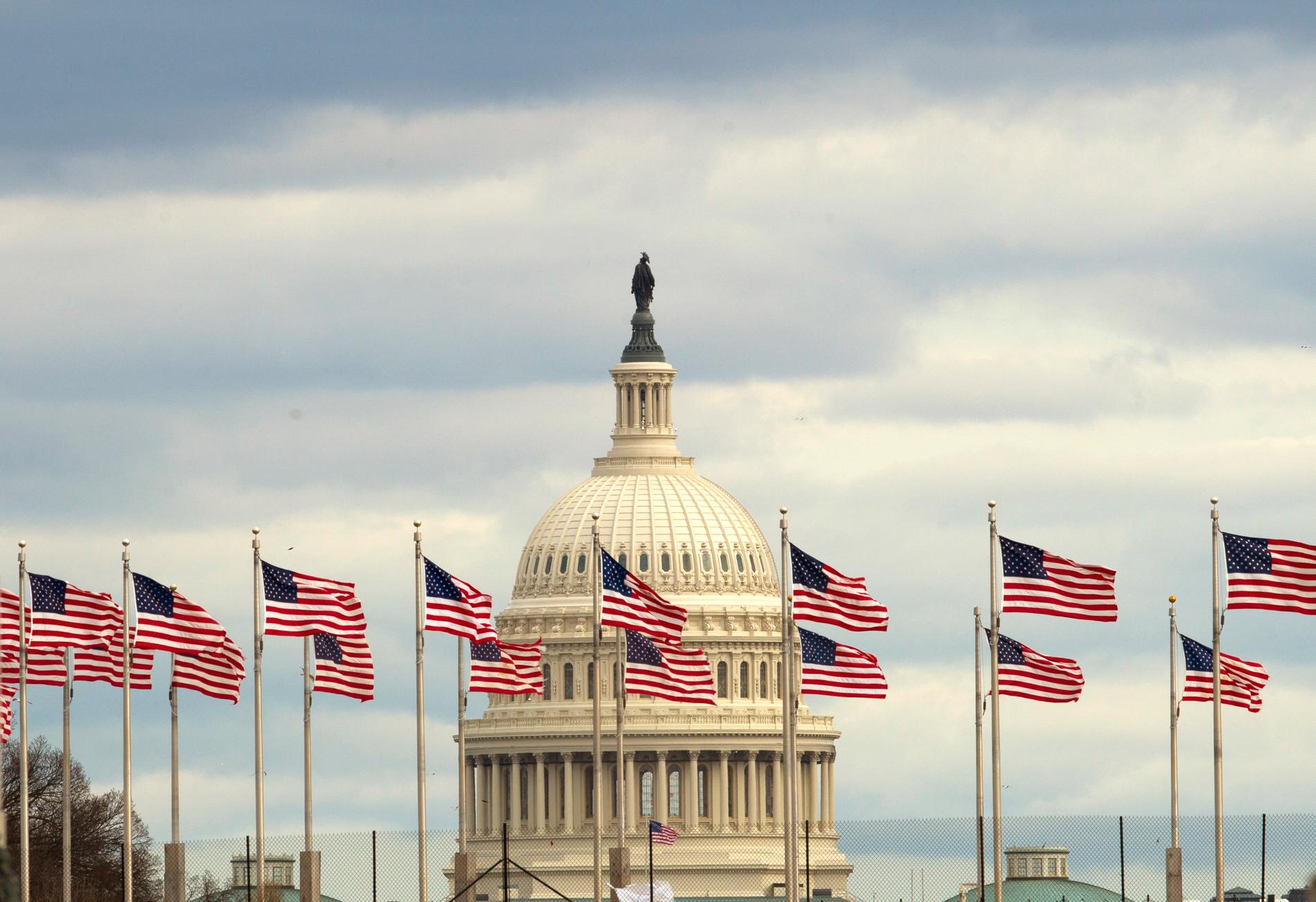 Flaggor framför Capitolium i Washington DC där den amerikanska kongressen har sitt säte. Den 116:e kongressen pågår mellan den 3 januari 2019 och den 3 januari 2021