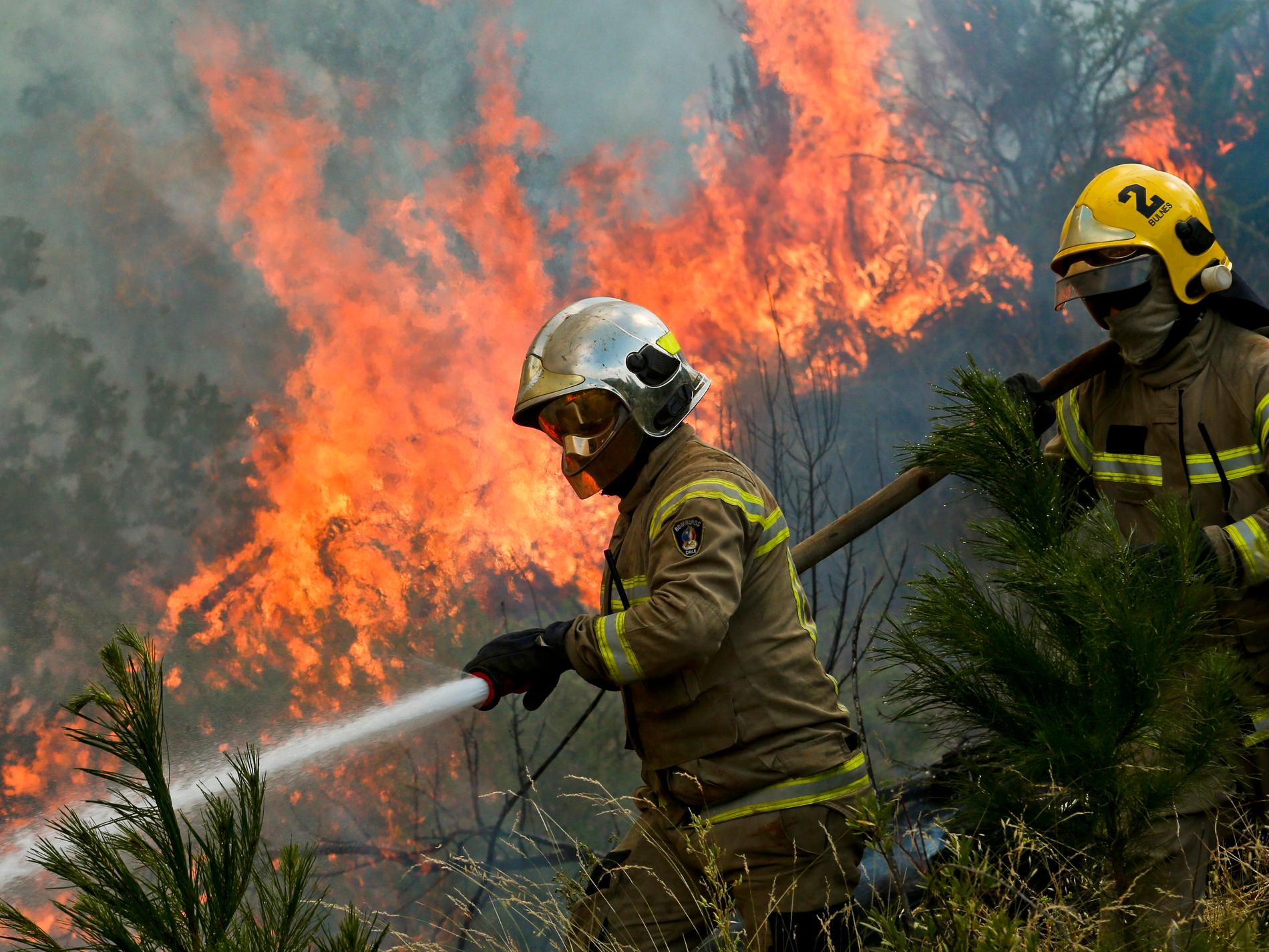 Minst 13 döda i skogsbränder i Chile