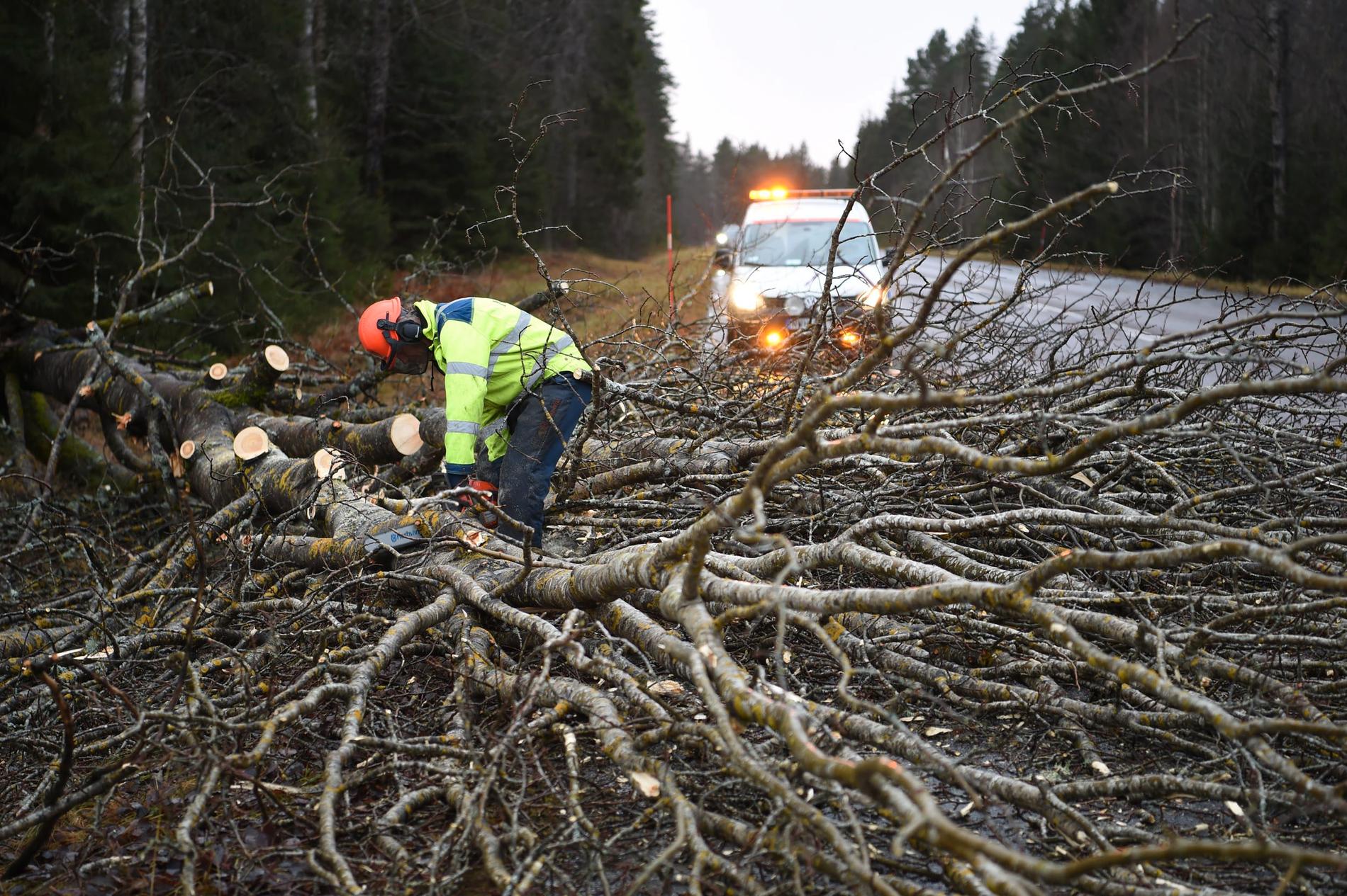 Mellan Gammelsta och Stavsjö föll ett större träd  över vägen i Stormen Helgas framfart.