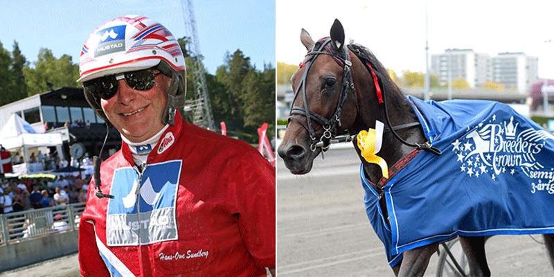 Solvalla-tränaren Hans-Owe Sundberg ska under fredagens V64-tävlingar från Åby försöka kvala in två av sina fyraåriga hästar till Kungapokalen. 