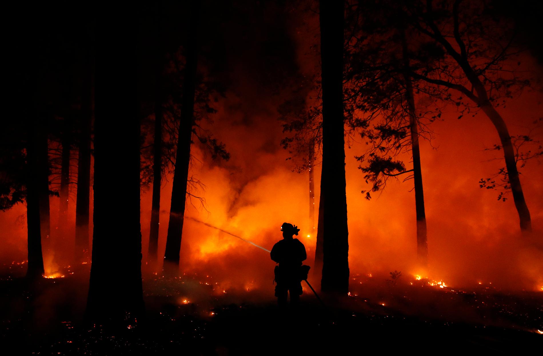 En brandman släcker skogsbrand i Kalifornien i Usa.
