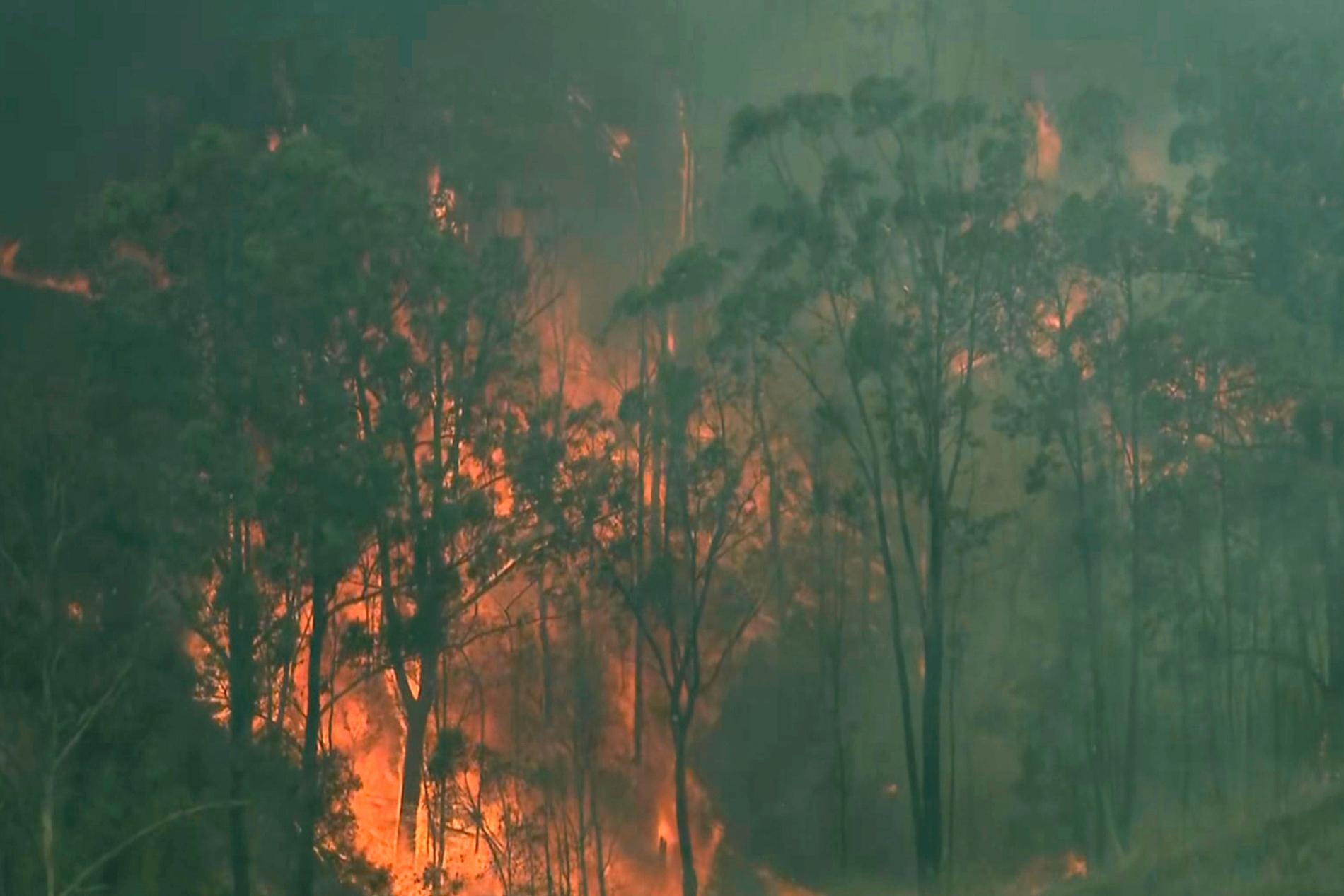 Bränderna rasar vidare i Australien, här i Hillville i New South Wales, Australien.