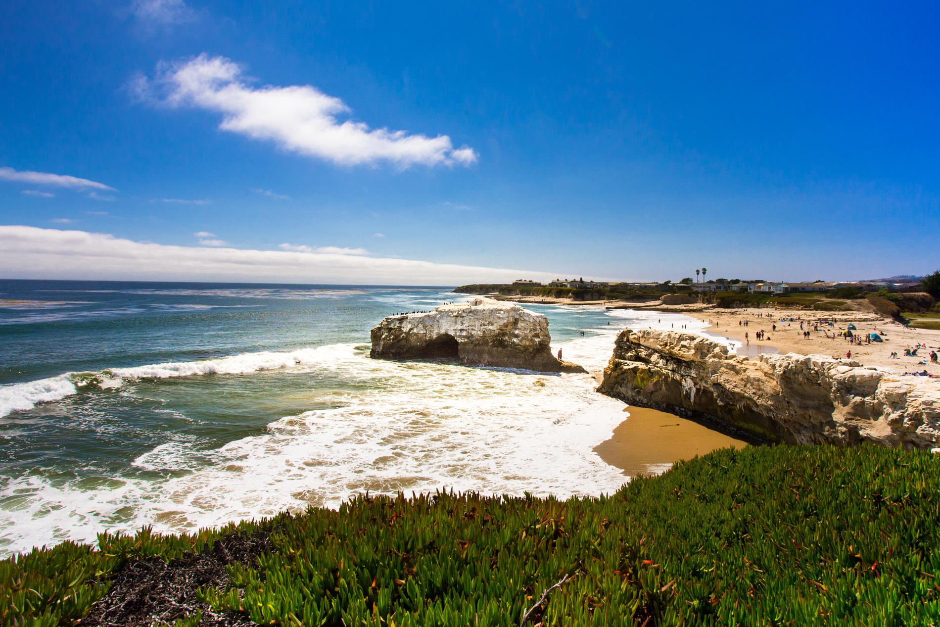 Surfare trivs vid Kaliforniens kust – det gör tydligen även aggressiva uttrar.