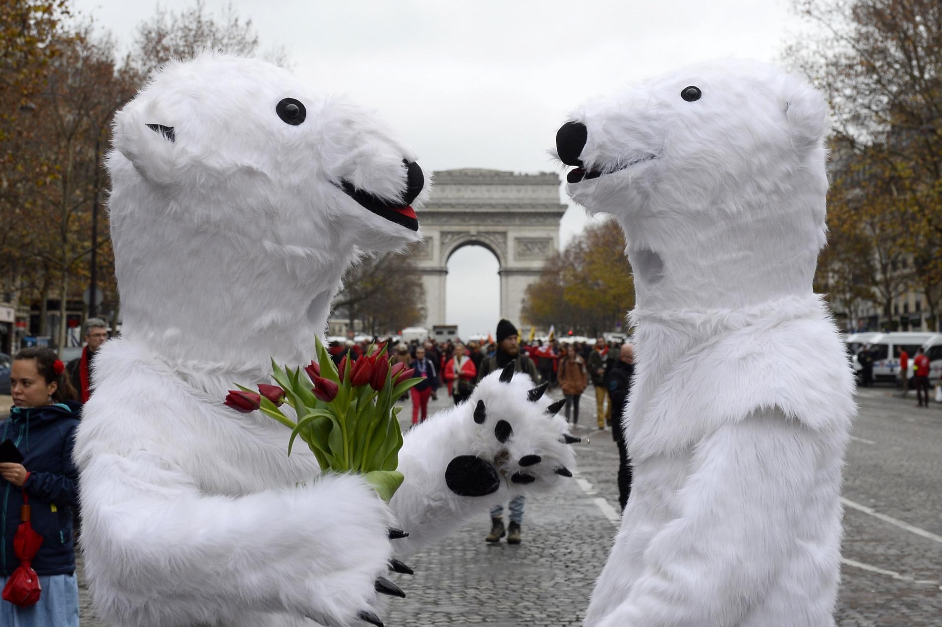 Aktivister utklädda till isbjörnar på demonstration vid klimatmötet i Paris