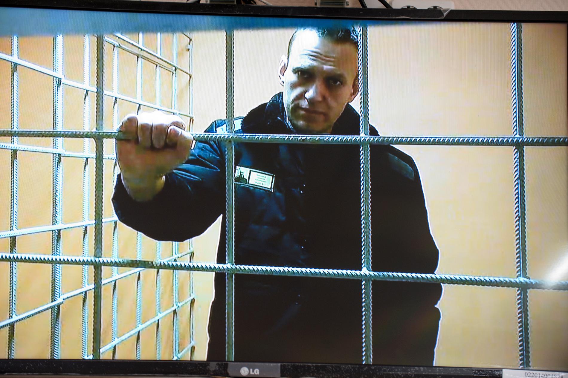 Den ryske oppositionsledaren Aleksej Navalnyj på videolänk från fängelset.