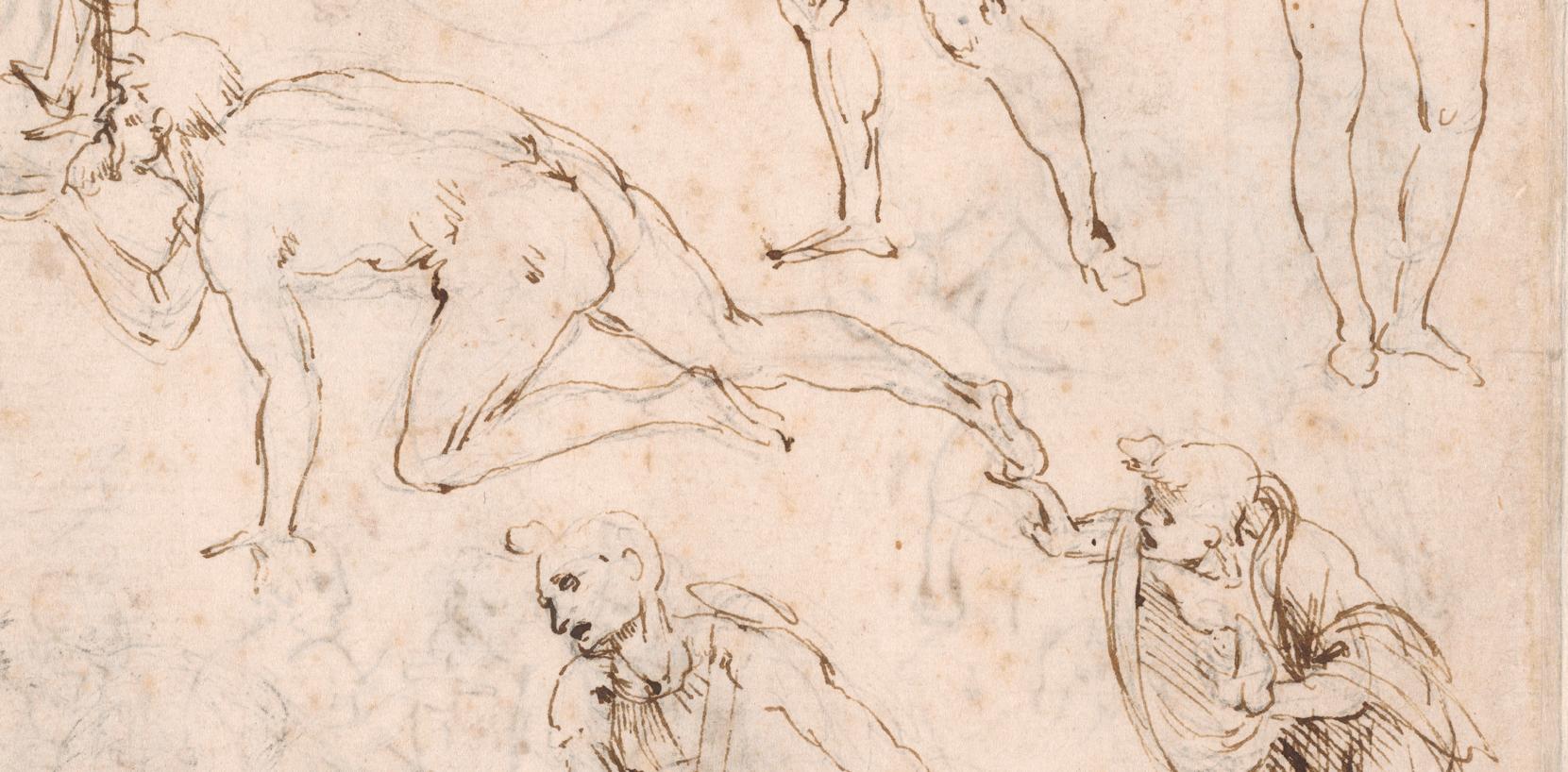 Deatalj ur en  av Leonardo da Vincis skisser, från utställningen Louvren i Paris.