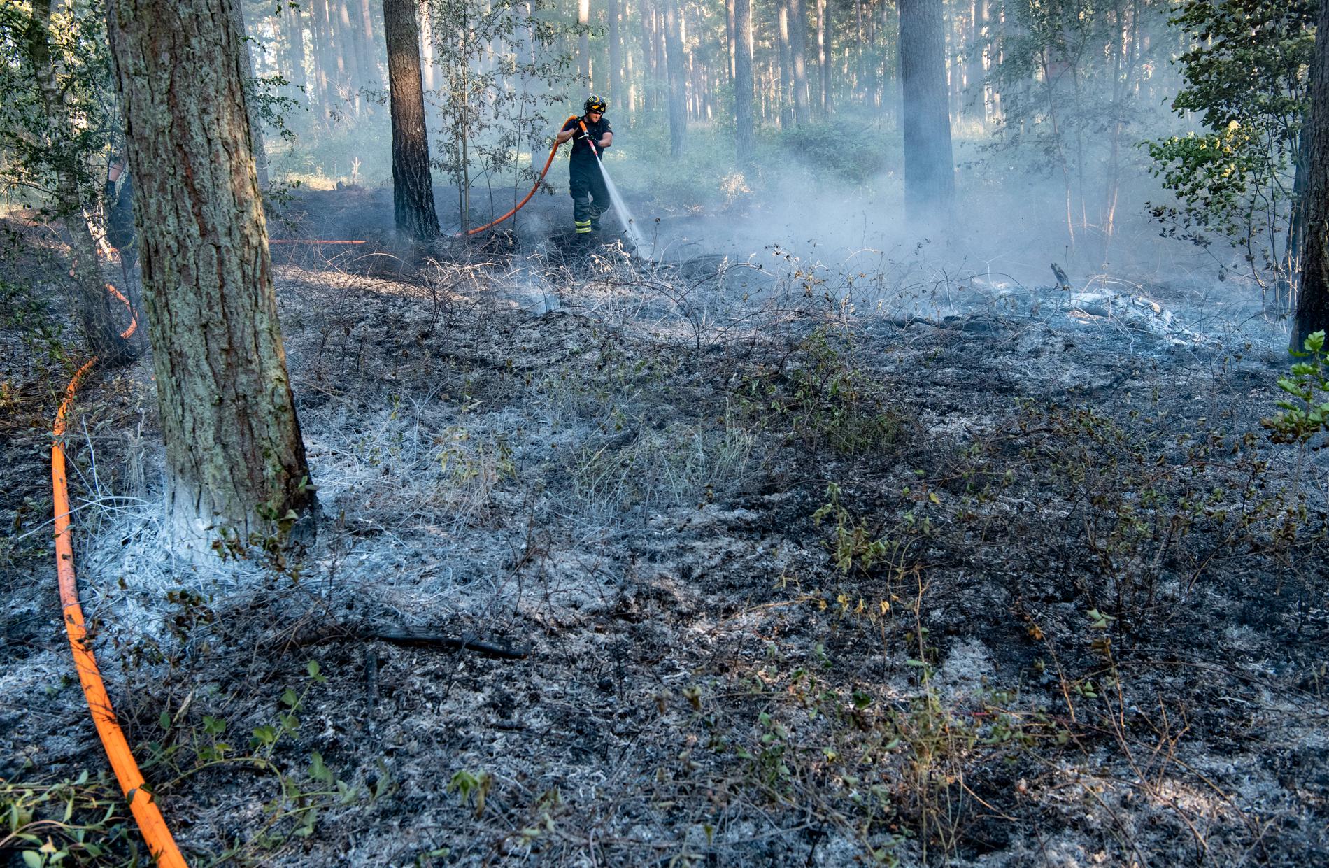 Under förra sommaren brann det flera gånger i ett naturområde i Åhus. Nu döms en kvinna till fängelse för att anlagt två av dem. Arkivbild.