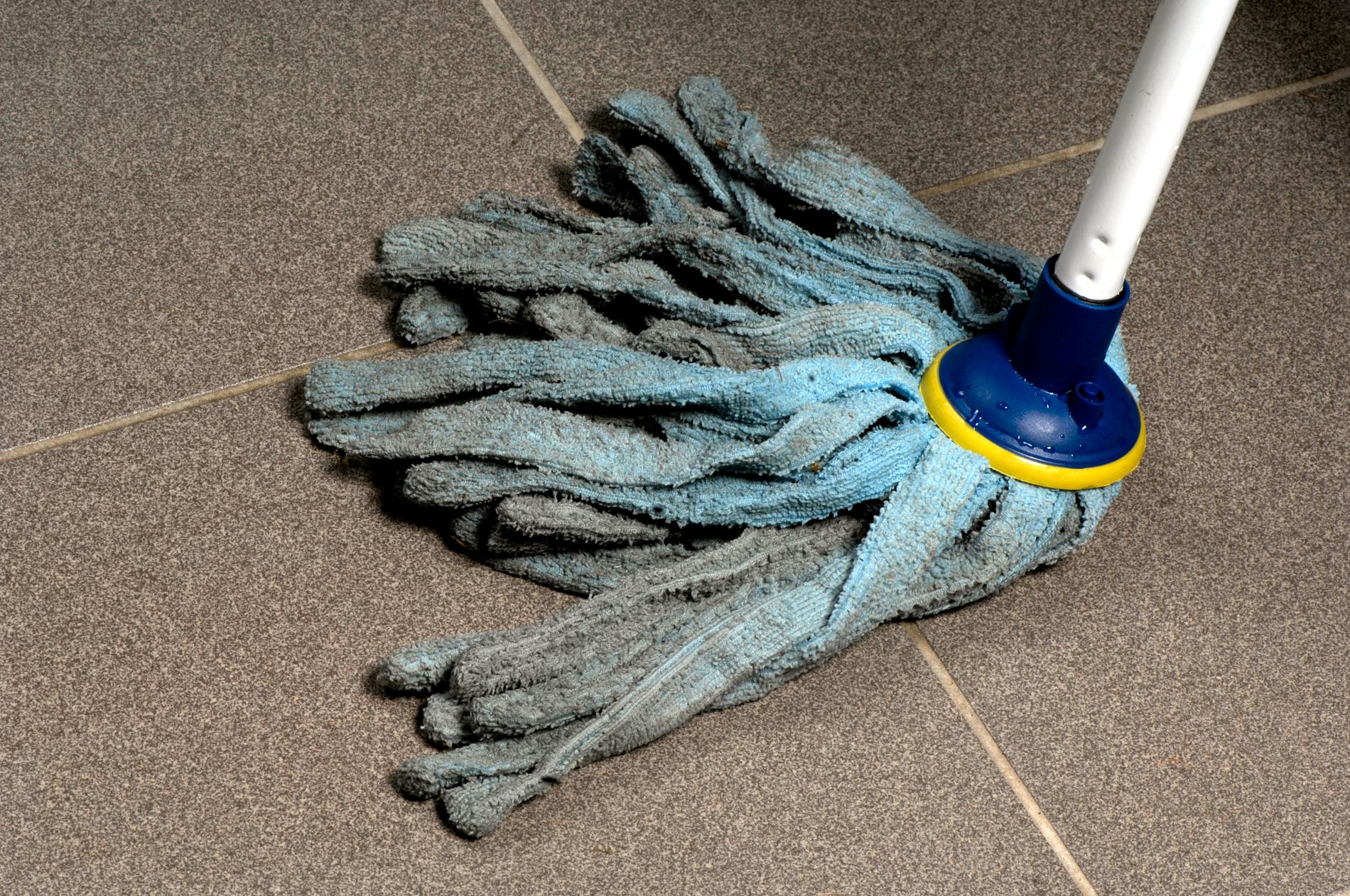 Sverigedemokraterna städar och städar, men det blir aldrig rent. Kanske för att huset är smutsigt från början. 