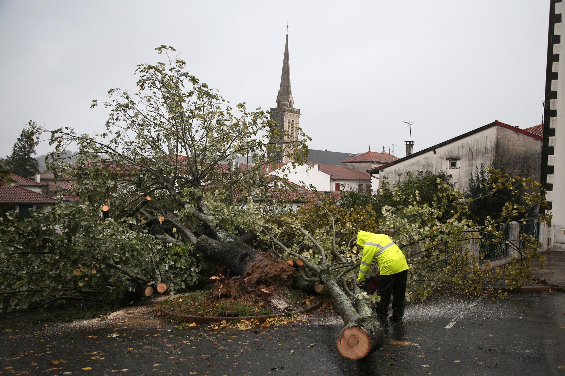 Ett träd har fallit i Hasparren i sydvästra Frankrike efter att Ciarán dragit in.