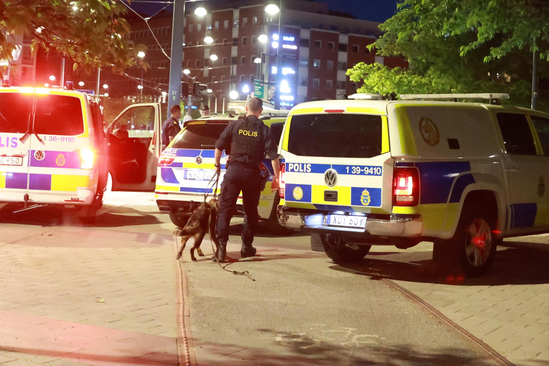 Polisen sökte med hundpatruller i Hammarby sjöstad efter knivskärningen.