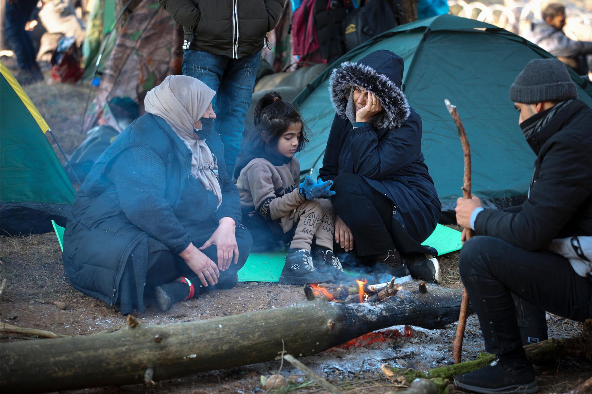 Migranter från Mellanöstern, många familjer med små barn, samlas i tusental nära Grodno i Vitryssland, precis vid polska gränsen. Vid gränsstängslet möts de av polsk kravallpolis och stora spolar av taggtråd.
