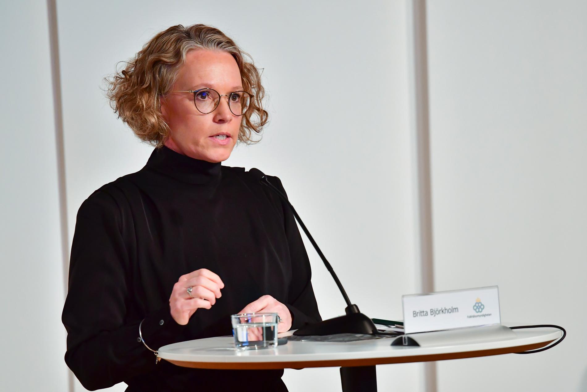 Britta Björkholm, avdelningschef på Folkhälsomyndigheten. 