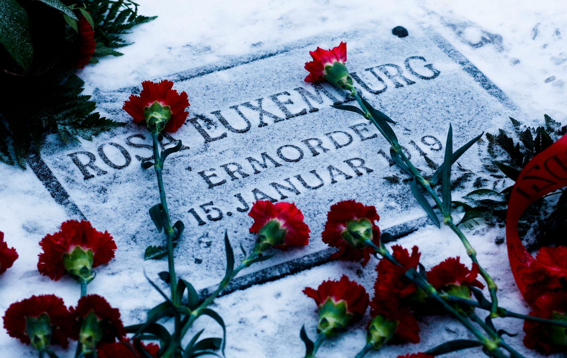 Röda rosor på kommunistledaren Rosa Luxemburgs grav i Berlin. Hon dödades den 15 januari 1919 under det så kallade spartakistupproret. Arkivbild.