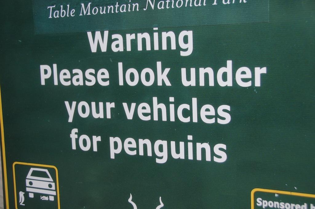 Se upp för pingviner – under bilen. Bilden är inskickad av Pär.