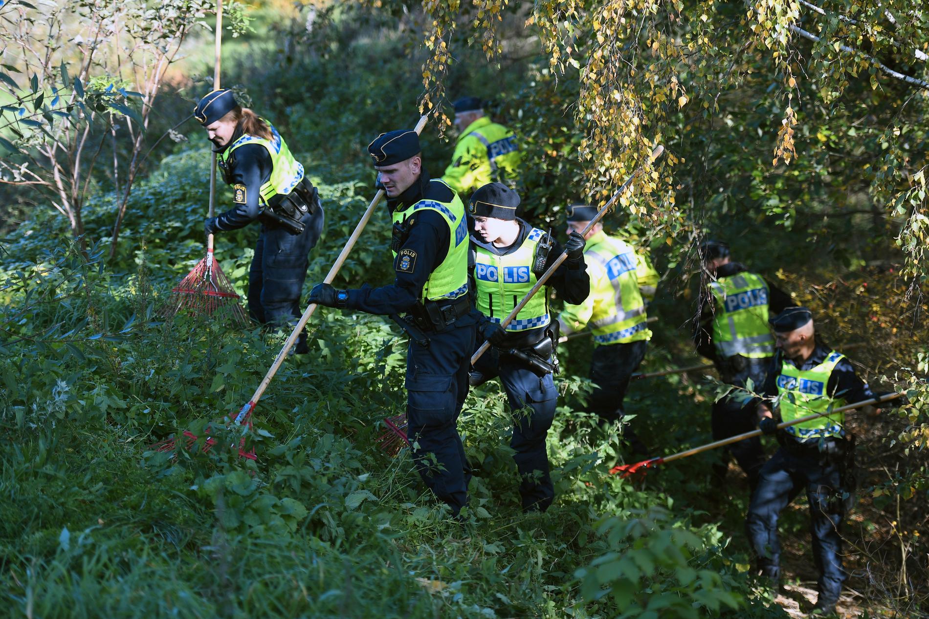 Polisen under sökinsatser i samband med mordet på Lena Wesström.