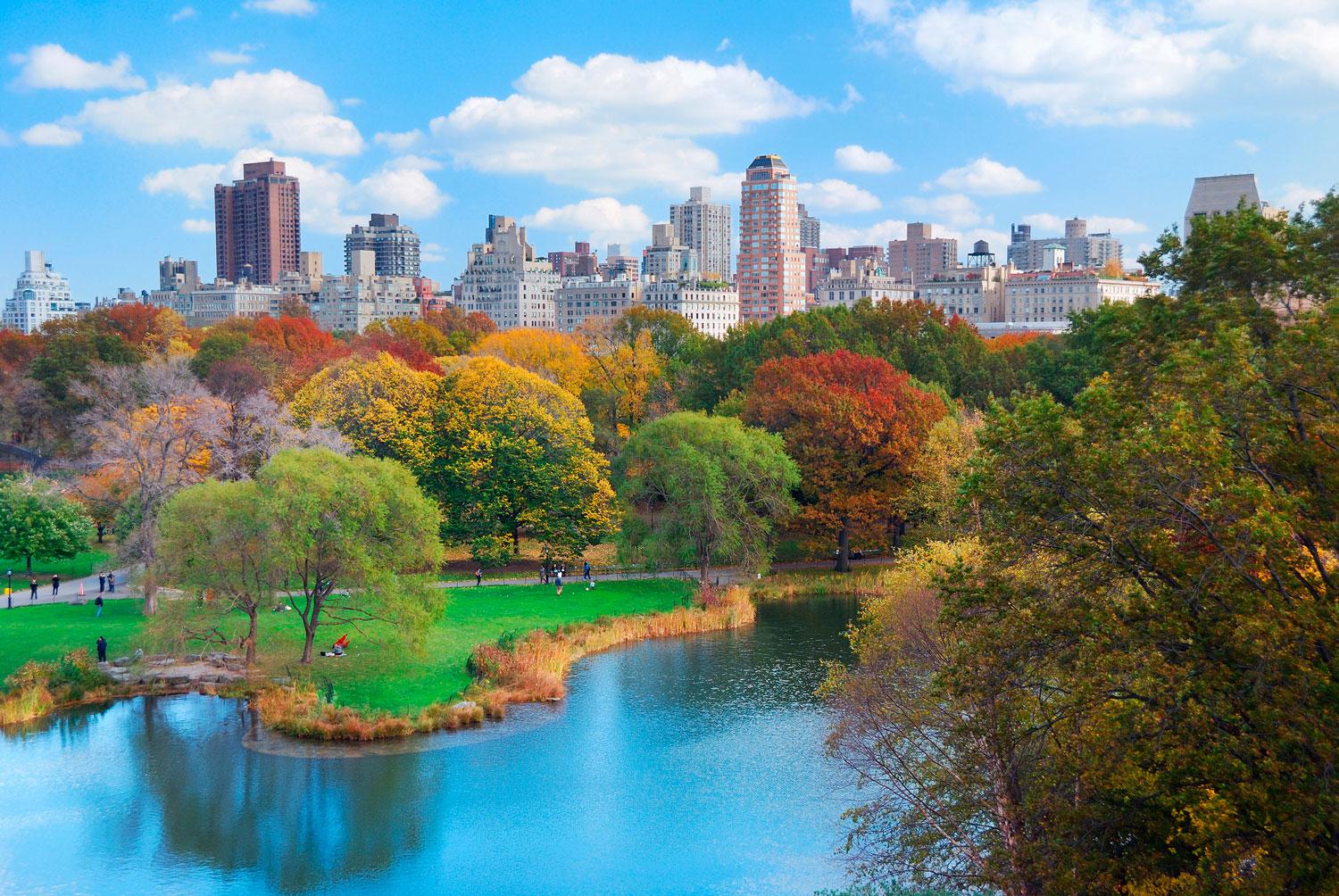 7. Central Park i New York syns ofta i bilddelningsappen.